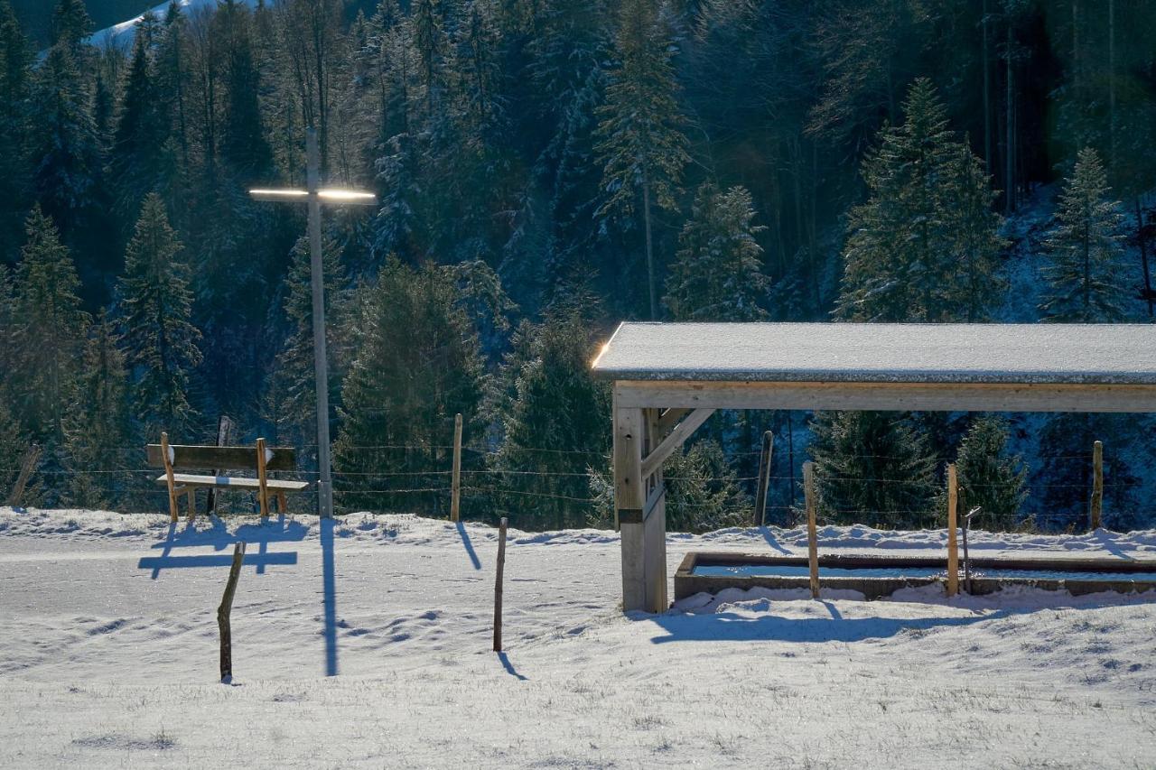 Unser Vorsaess - Geisskopf Schwarzenberg im Bregenzerwald Dış mekan fotoğraf